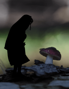 Screen Shot 2014-10-07 at 7.19.49 pm