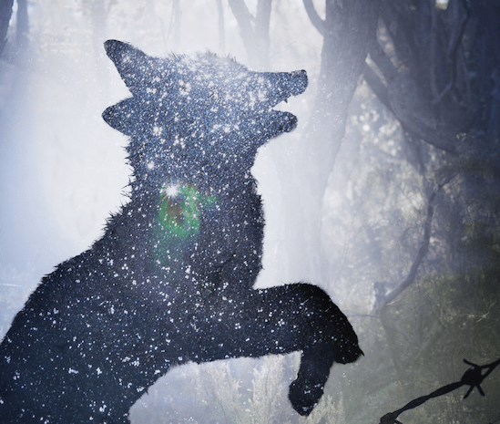 Screenshot 2017-09-21 13.39.57